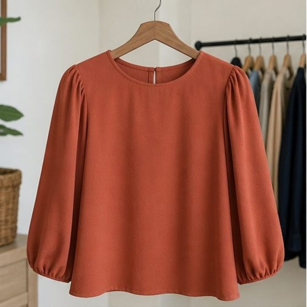 Rust Tunic Blouse